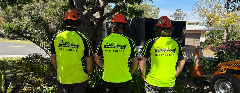 Back posing of MP Tree Care team