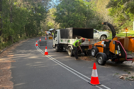 emergency tree removal cleanup in process