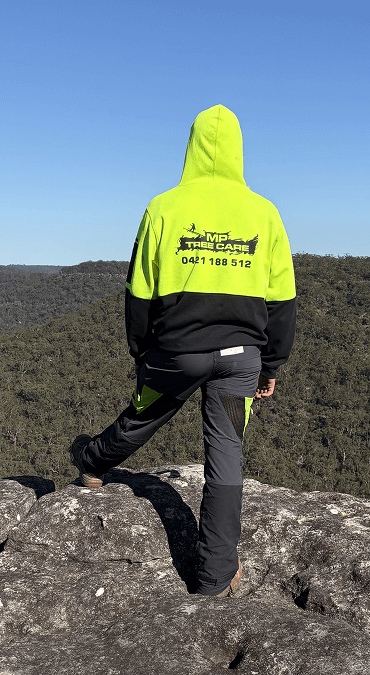 MP Tree Care team member standing at a cliff in Northshore