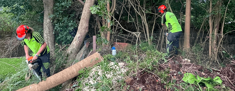 Landing Clearing being performed