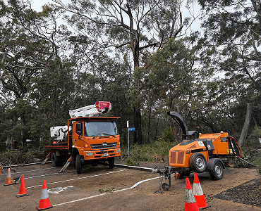 Tree cutting machine parked at the site