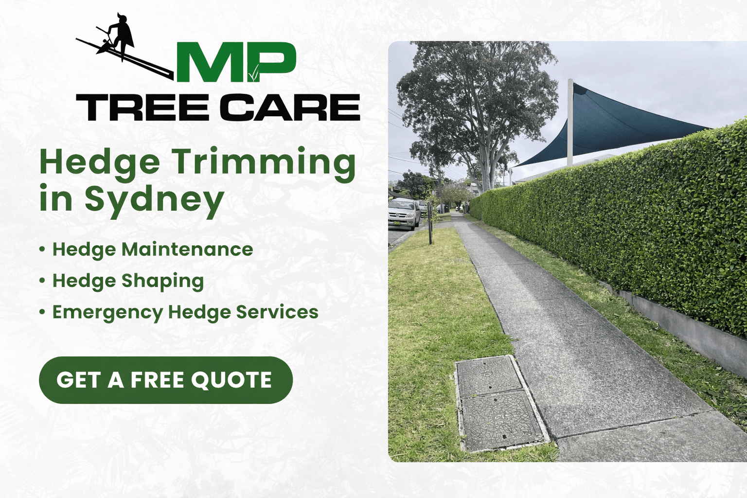 Hedge Trimming Sydney | MP Tree Care - Professional Hedge Care