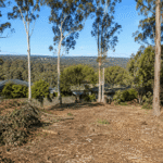 Australian bushfire land clearing